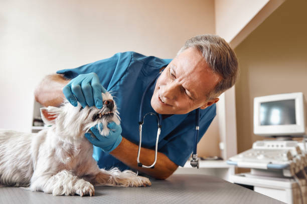 Best Emergency Dental Extractions in Fullerton, CA